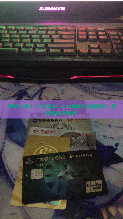 借贷宝欠款十七万怎么办