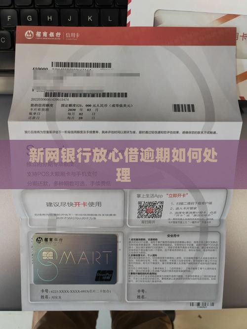 新网银行放心借逾期如何处理