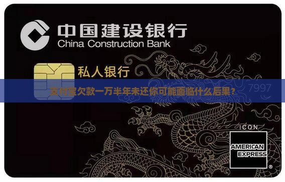 支付宝欠款一万半年未还