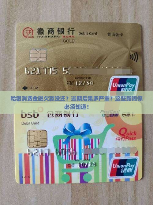 哈银消费金融欠款没还