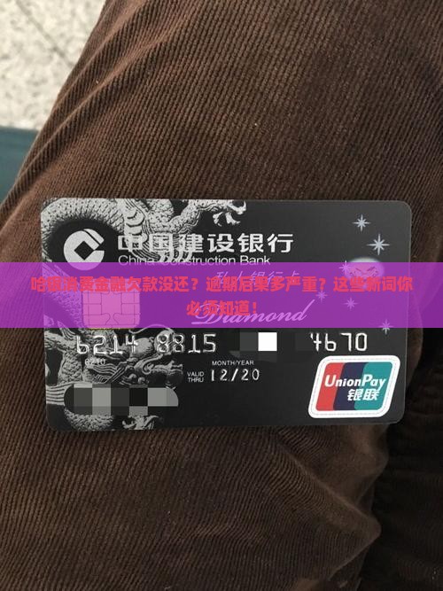 哈银消费金融欠款没还