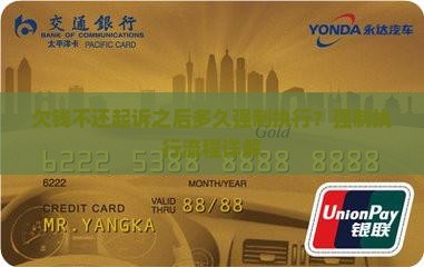 欠钱不还起诉之后多久强制执行