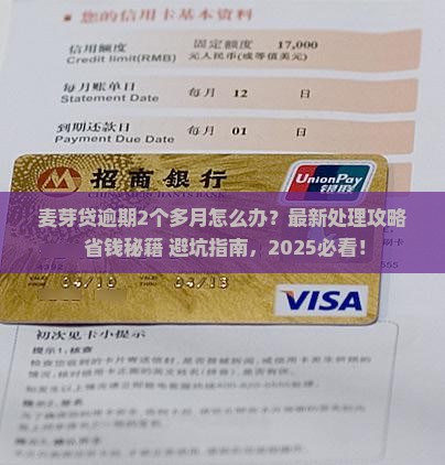麦芽贷逾期2个多月如何处理