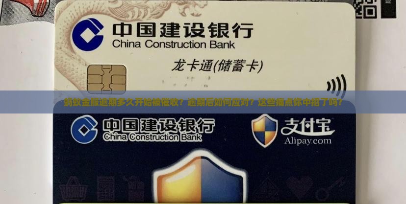 蚂蚁金服逾期多久开始被催收