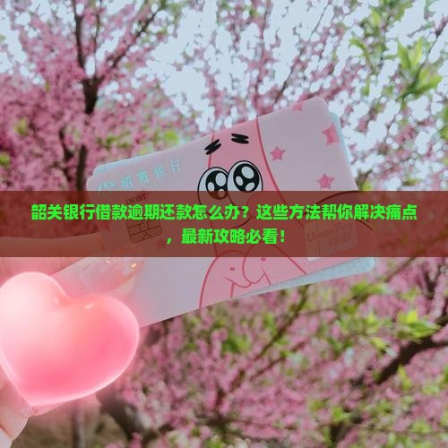 韶关银行借款逾期还款方式详解