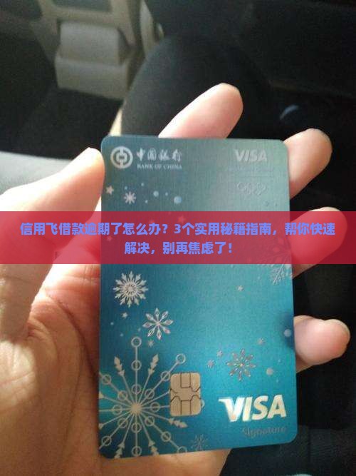 信用飞借款逾期怎么办