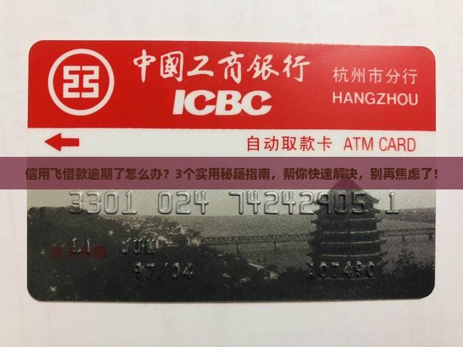信用飞借款逾期怎么办