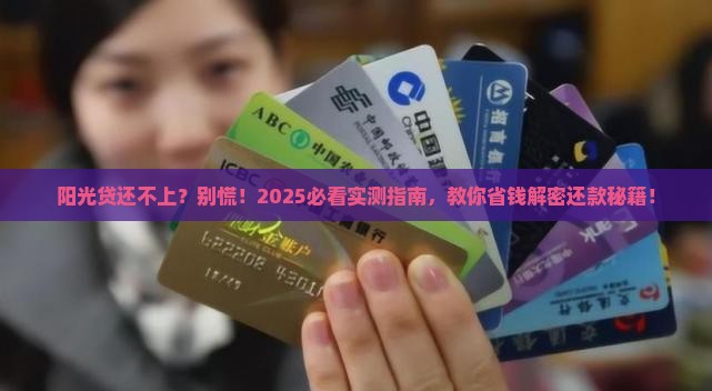 阳光贷无能力还款该怎么办