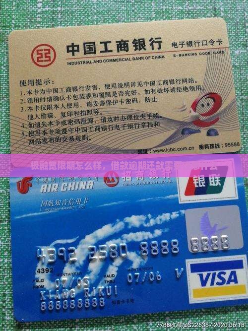 极融有宽限期吗怎么样