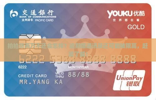 拍拍贷两万不还会怎样