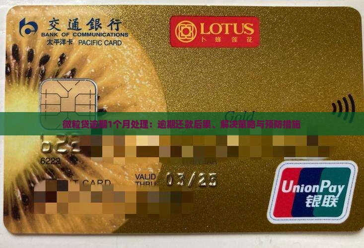 微粒贷逾期1个月处理：逾期还款后果、解决策略与预防措施