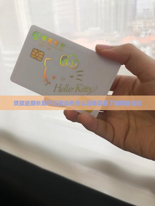 贷款逾期长期不还款会有什么后果需要了解哪些信息