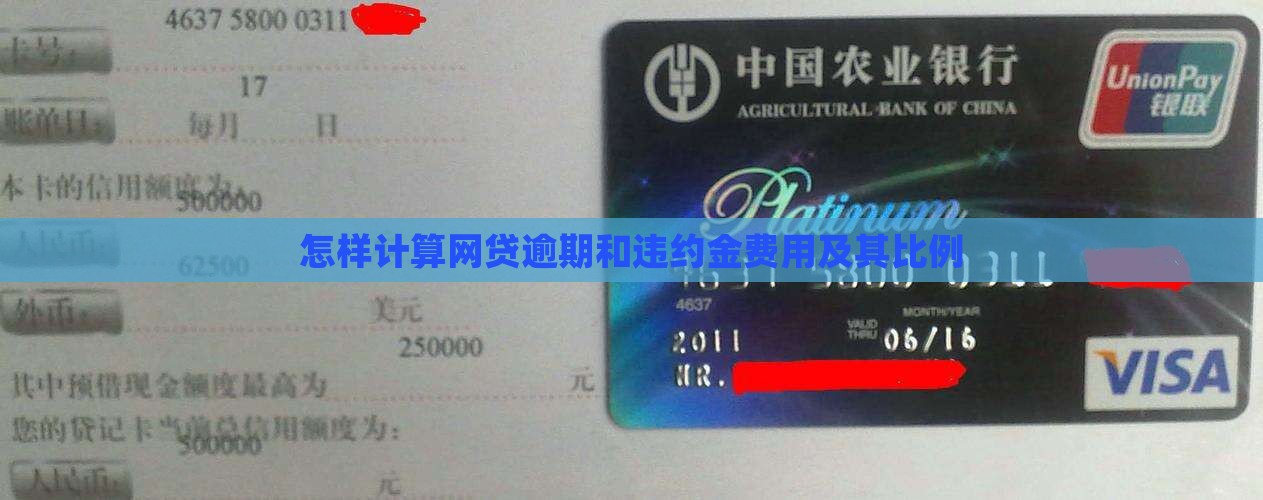 怎样计算网贷逾期和违约金费用及其比例
