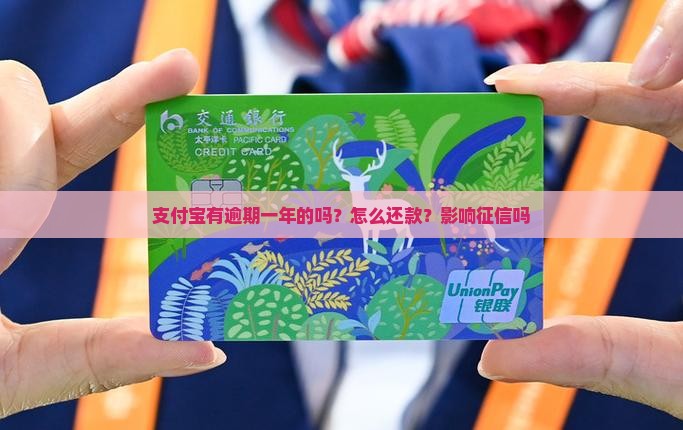 支付宝有逾期一年的吗？怎么还款？影响征信吗