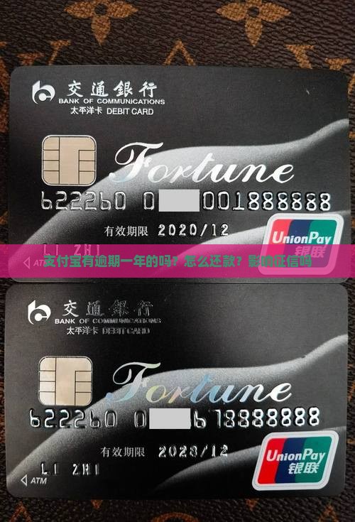 支付宝有逾期一年的吗？怎么还款？影响征信吗