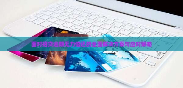 面对招贷逾期无力偿还的全面解决方案与应对策略