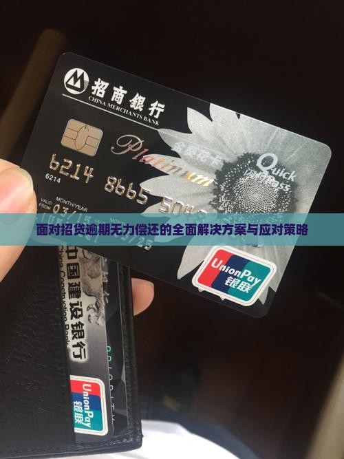 面对招贷逾期无力偿还的全面解决方案与应对策略