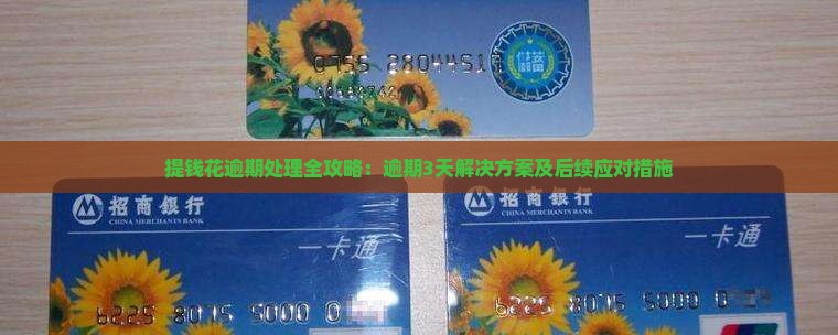 提钱花逾期处理全攻略：逾期3天解决方案及后续应对措施