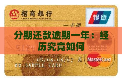 分期还款逾期一年：经历究竟如何