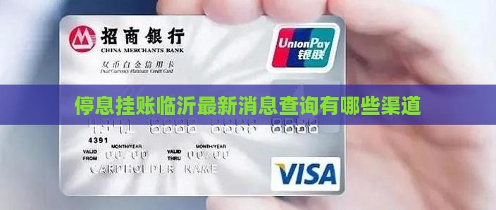 停息挂账临沂最新消息查询有哪些渠道