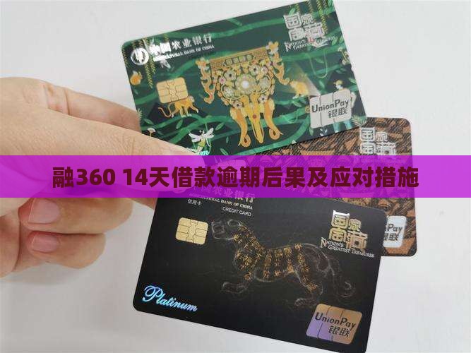 融360 14天借款逾期后果及应对措施
