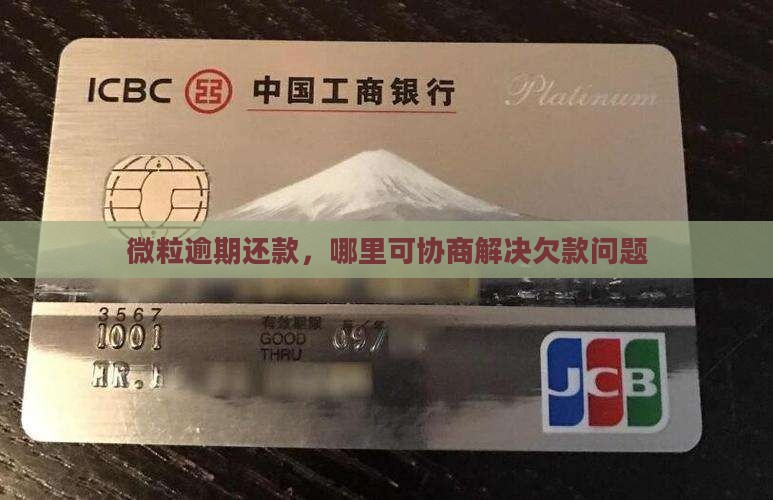微粒逾期还款，哪里可协商解决欠款问题