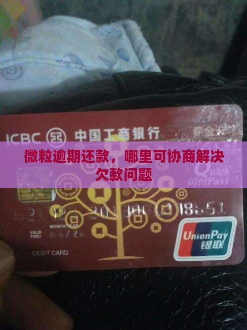 微粒逾期还款，哪里可协商解决欠款问题