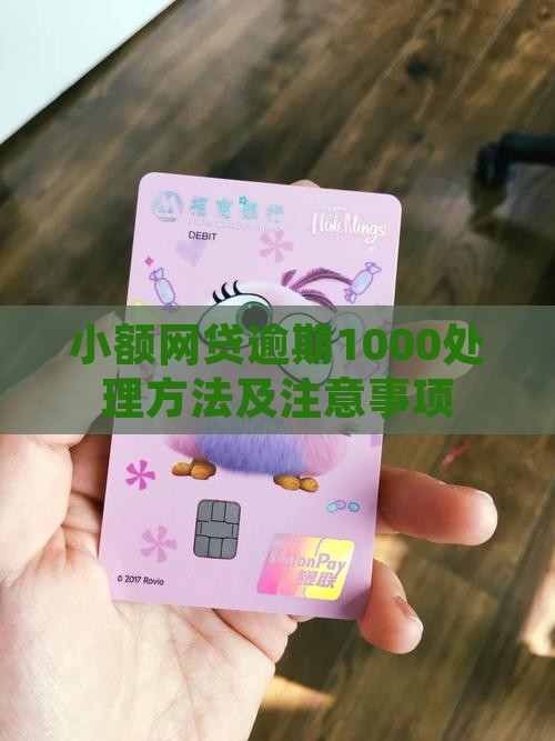 小额网贷逾期1000处理方法及注意事项