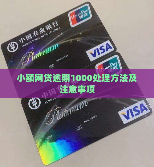 小额网贷逾期1000处理方法及注意事项