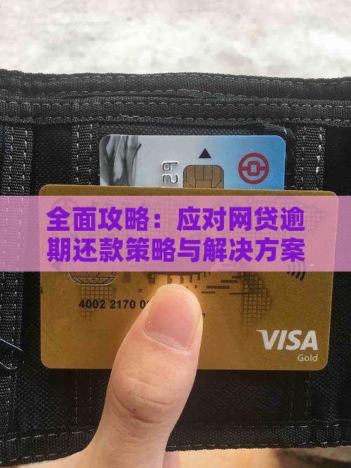 全面攻略：应对网贷逾期还款策略与解决方案