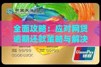 全面攻略：应对网贷逾期还款策略与解决方案