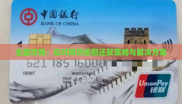 全面攻略：应对网贷逾期还款策略与解决方案