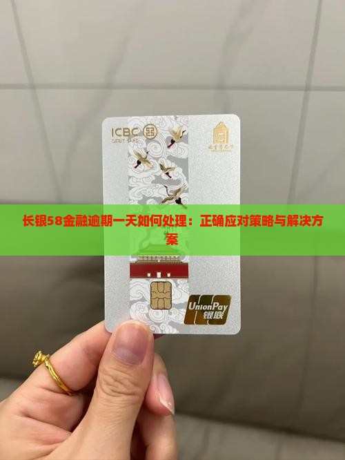 长银58金融逾期一天如何处理：正确应对策略与解决方案