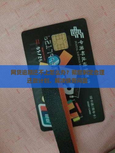 网贷逾期还不上怎么办？帮您制定合理还款计划，解决债务问题