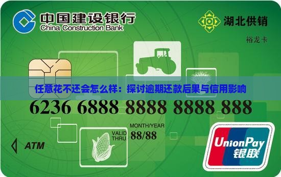 任意花不还会怎么样：探讨逾期还款后果与信用影响