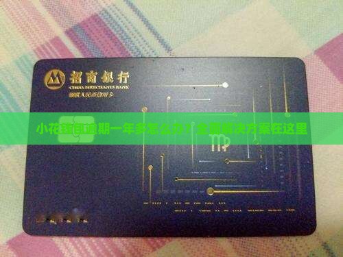 小花钱包逾期一年多怎么办？全面解决方案在这里