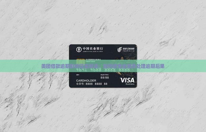 美团借款逾期影响征信解读：如何避免逾期及处理逾期后果