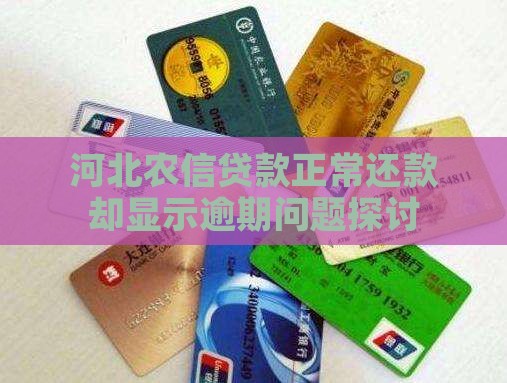 河北农信贷款正常还款却显示逾期问题探讨