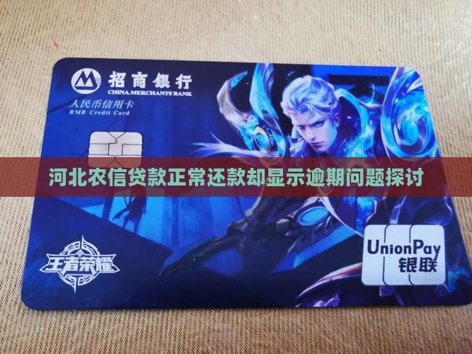 河北农信贷款正常还款却显示逾期问题探讨