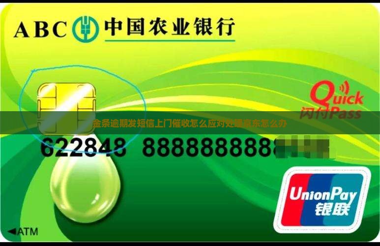 金条逾期发短信上门催收怎么应对处理京东怎么办