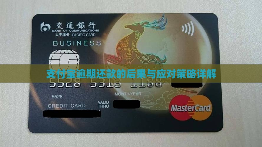 支付宝逾期还款的后果与应对策略详解