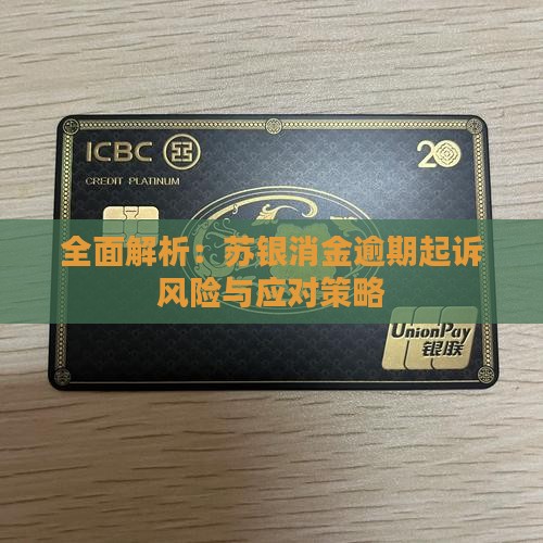 全面解析：苏银消金逾期起诉风险与应对策略