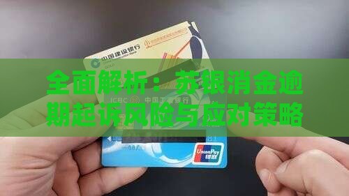 全面解析：苏银消金逾期起诉风险与应对策略