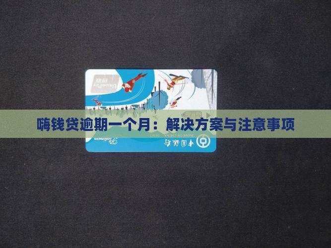 嗨钱贷逾期一个月