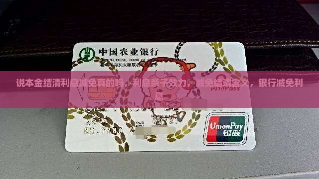 说本金结清利息减免真的吗