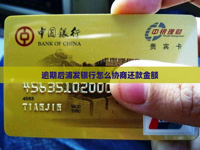 浦发欠款五万六可以怎么协商还款金额