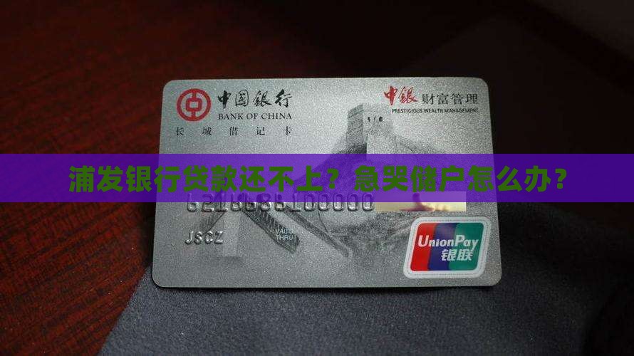 浦发银行无力偿还贷款如何应对