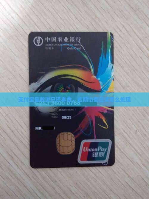 支付宝催收说只还本金应该怎么处理 支付宝催收说只还本金应该怎么处理