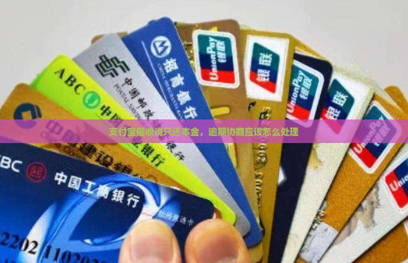 支付宝催收说只还本金应该怎么处理 支付宝催收说只还本金应该怎么处理
