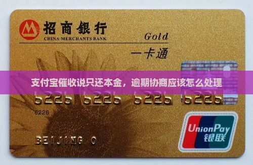 支付宝催收说只还本金应该怎么处理 支付宝催收说只还本金应该怎么处理